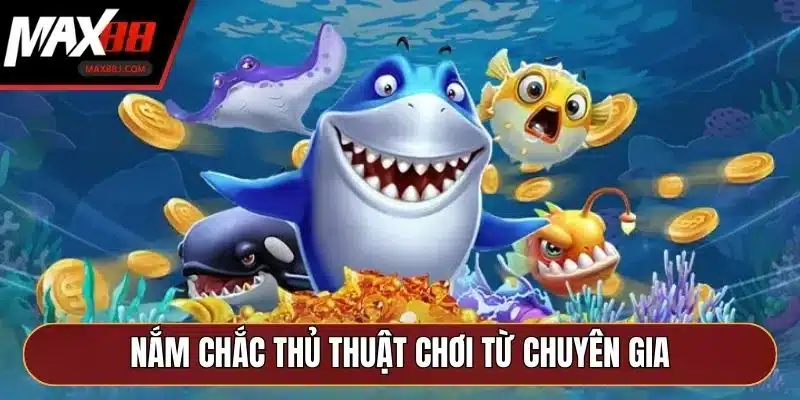 Nắm chắc thủ thuật chơi từ chuyên gia Nắm chắc thủ thuật chơi từ chuyên gia