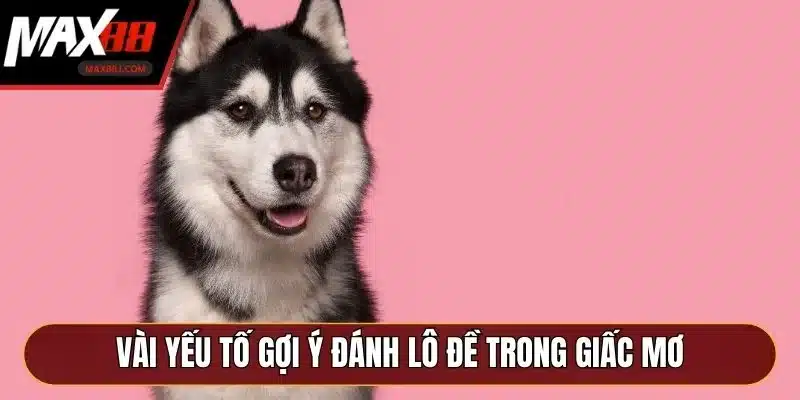 Vài yếu tố gợi ý đánh lô đề trong giấc mơ Vài yếu tố gợi ý đánh lô đề trong giấc mơ